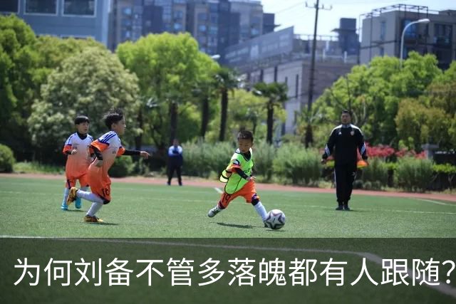 为何刘备不管多落魄都有人跟随？网友分析太透彻！引起万千共鸣！