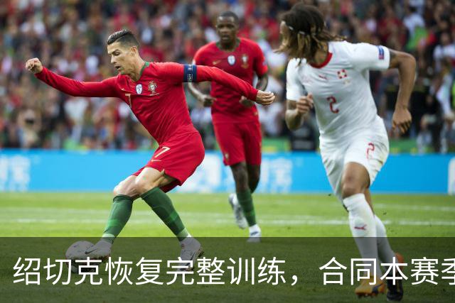 绍切克恢复完整训练，合同本赛季结束后到期