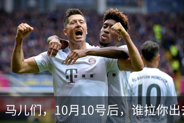 马儿们，10月10号后，谁拉你出去你就给他“拉黑”！